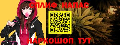 гашик Обнинск