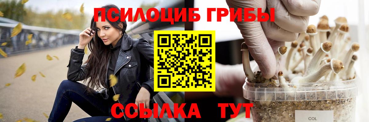 Псилоцибиновые грибы Psilocybine cubensis Орехово-Зуево